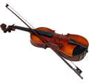 Violin partner